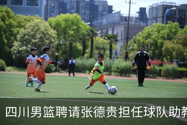 四川男篮聘请张德贵担任球队助教 匡鲁彬卸任